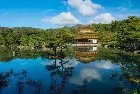 Visit gold temple Kinkakuji in Kyoto