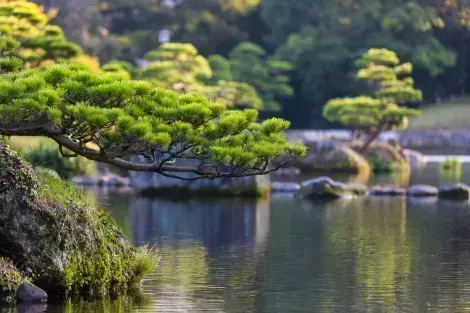 Japanese garden in Kumamoto, on Kyushu island