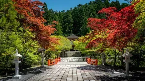 Beautiful nature and autumn foliage in Koyasan sacred valley