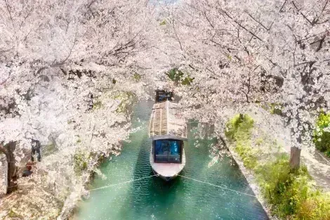 The path of philosophy in springtime in Kyoto
