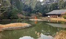 Joruriji Temple, Kyoto Prefecture