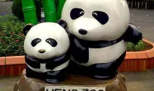 The Ueno Zoo was the first zoo in Japan receive a pair of Chinese panda.