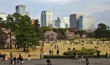 In the heart of Tokyo, the Imperial Garden is the only part open to the public gardens of the Emperor.