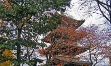 Beside the Tokyo National Museum, Ueno, the Kanei-ji Buddhist temple holds the graves of six shoguns.