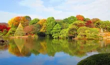 Dégradé des couleurs du jardin Rikugi-en