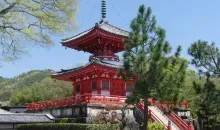 Japan Visitor - daikakuji-pagoda.jpg