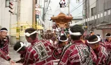 Japan Visitor - danjiri-festival-2016-8.jpg