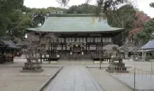 Japan Visitor - imamiya-shrine-3.jpg