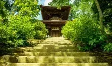 Japan Visitor - jojakkoj-temple-20191.jpg