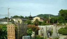 Japan Visitor - shinnyodo-graveyard.jpg