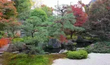 Japan Visitor - shoden-temple-1.jpg