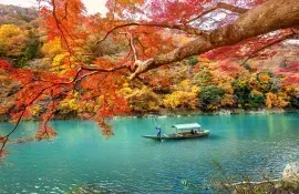 River in Arashiyama during fall : famous touristic site to visit in Kyoto