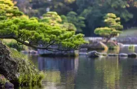 Japanese garden in Kumamoto, on Kyushu island