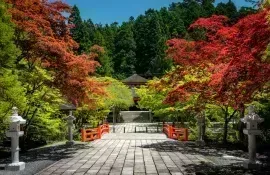 Beautiful nature and autumn foliage in Koyasan sacred valley