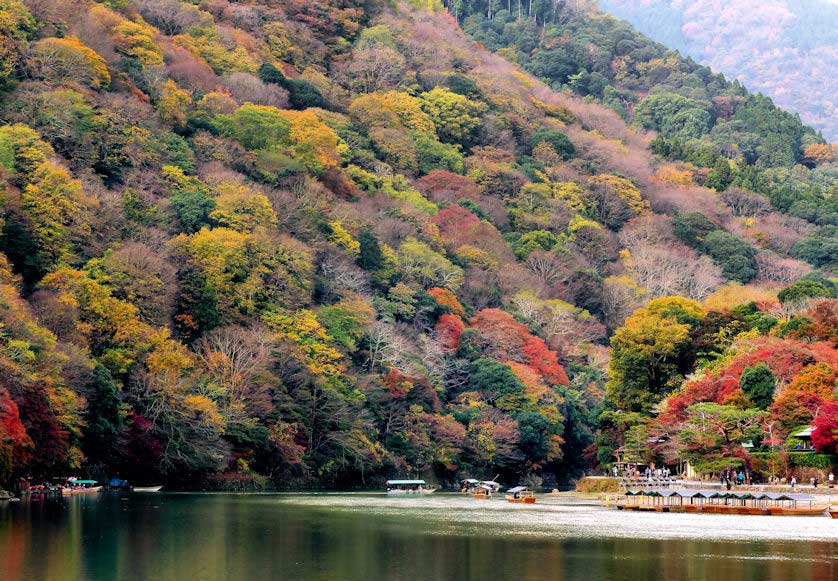 Rental boats, Arashiyama, Kyoto.