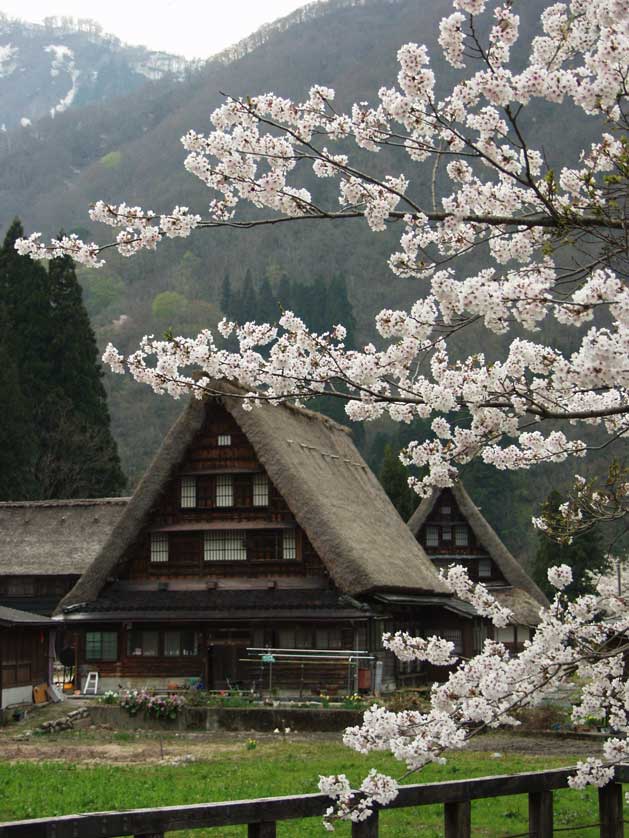 Gokayama, Toyama, Japan.