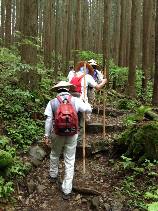 Pilgrims hiking Mt. Omine.