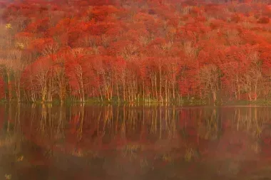 Lac Towada, ancien lac volcanique, préfecture d'Aomori