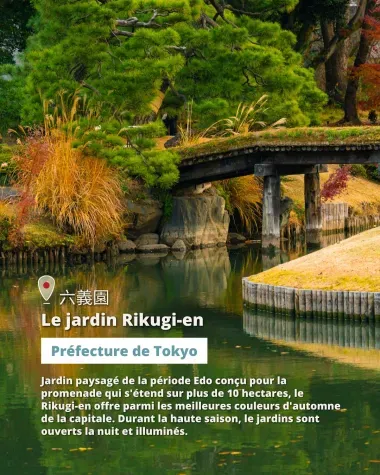 Le jardin Rikugi-en