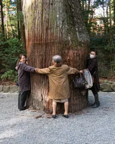 3 femmes qui encerclent un arbre avec leurs bras
