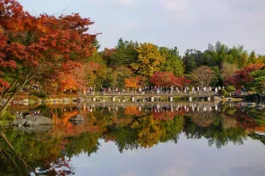 Lac parc showa en automne