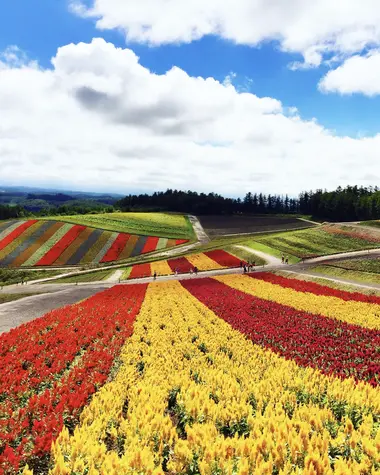 Panoramic Flower Gardens à Biei, près de Furano