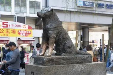 Hachiko Statue
