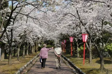 Le parc Miyama au printemps (géoparc d'Itoigawa)