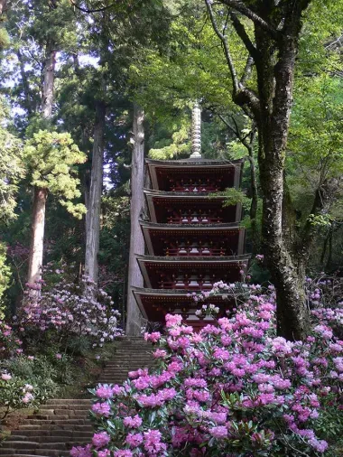 La pagode Muro-ji entourée de rhododendrons en fleurs.