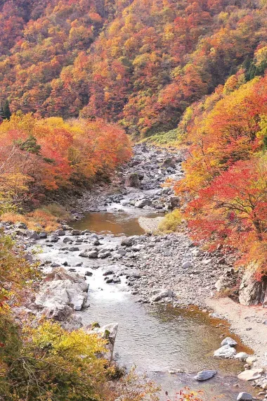 La rivière du dragon à neuf têtes en automne