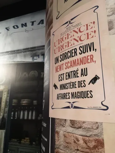 Le monde des sorciers en Français