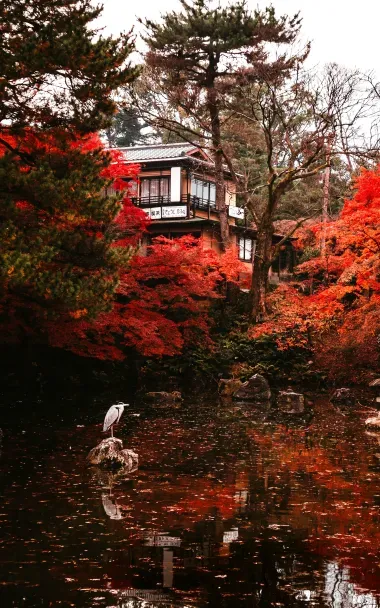 L'automne au Japon