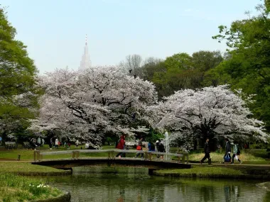Parc Yoyogi au printemps