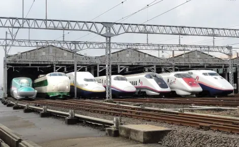Trenes Shinkansen de JR East