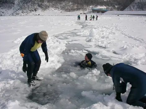 Drift ice swimming in Shiretoko