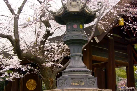 Le sanctuaire Yasukuni-jinja à Tokyo se place dans un environnement consacré à l’Histoire de la guerre au Japon.