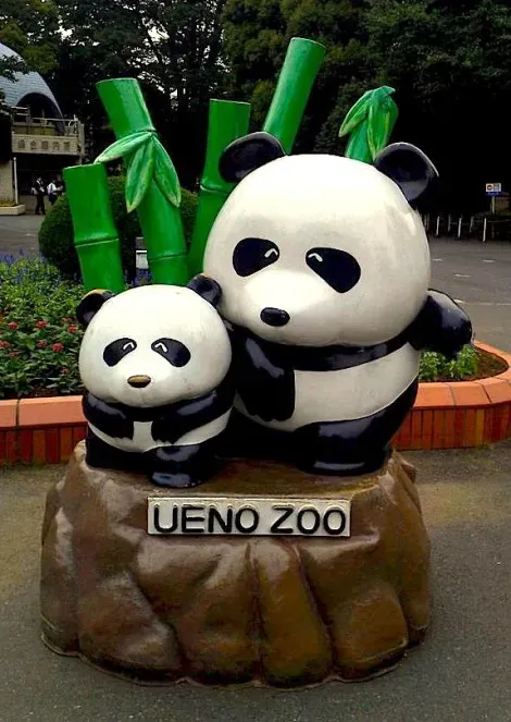 The Ueno Zoo was the first zoo in Japan receive a pair of Chinese panda.
