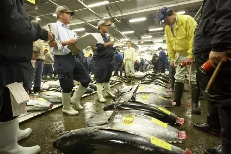 Le marché de Tsukiji, ouvert pour encore quelques semaines.