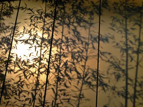 En el Museo Nezu se contemplan tanto las obras como sus hermosos jardines.