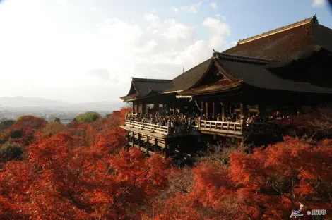 Le temple Kiyomizu-dera à Kyoto