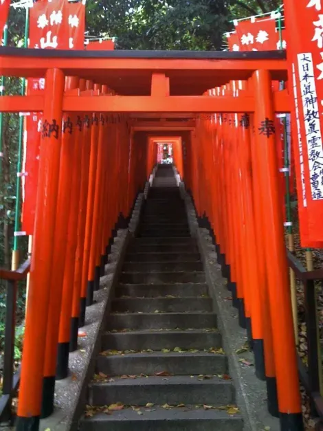 El pasillo del torii del santuario Hie-Jinja.