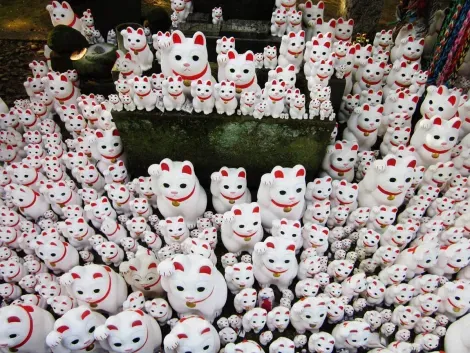 Il Gotoku-ji a Tokyo è complesso piuttosto esteso, dove le famose statuette del gatto si concentrano su un unico supporto.