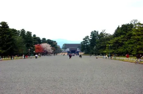 Camino al Parque Imperial de Kyoto. 