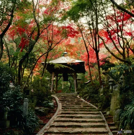 Ascenso al templo de Mitaki-dera