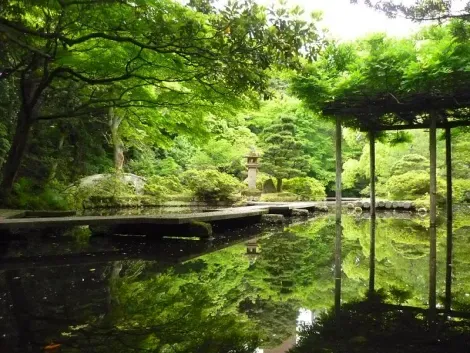 Santuario Oyama Jinja 