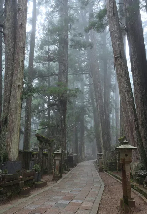 Allée du cimetière Okunoin à Koyasan