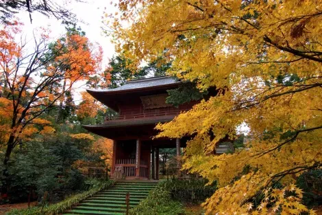 Puerta del templo Daijoji con los colores de otoño.