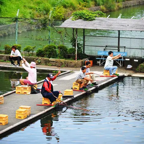 Sinners of Ishigaya Fish Center in Tokyo, u nétang specially dedicated to fishing.