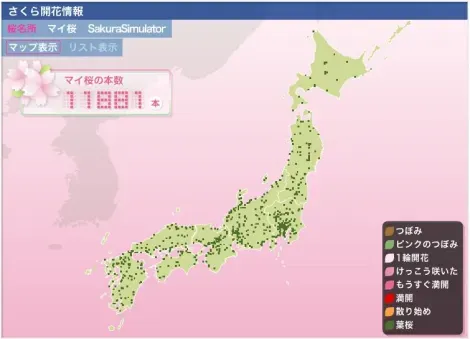 Mappatura di fioritura dei fiori di ciliegio in Giappone (hanami).