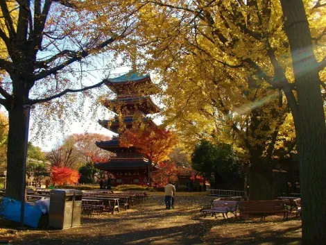 Le jardin d'Ueno, entre temple et jardin.